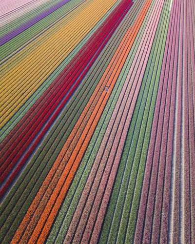 Фотографы показали, как выглядит весна в разных уголках планеты (14 фото)