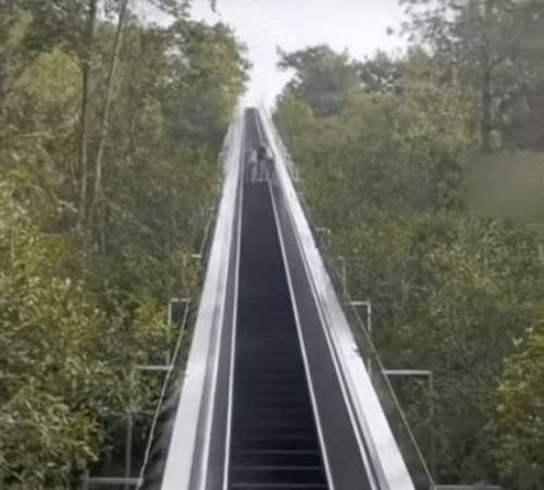 В Китае установили гигантские эскалаторы в качестве альтернативного подъёма в гору (3 фото + видео)