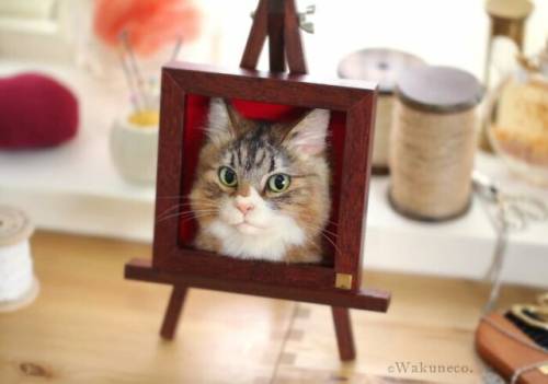 Гиперреалистичные 3D-портреты кошек из валяной шерсти (20 фото) — 18.04.2024