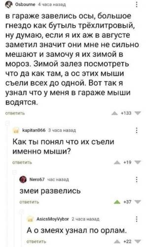 Прикольные комментарии из соцсетей: «Всё было вроде нормально…» (17 фото)