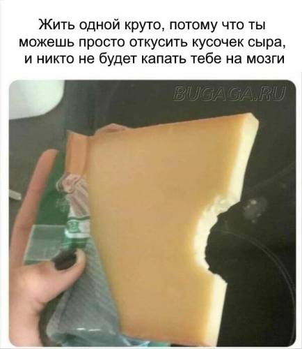 Прикольні картинки та меми про самотні серця (24 шт)