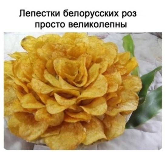 Прикольні картинки дня: 
