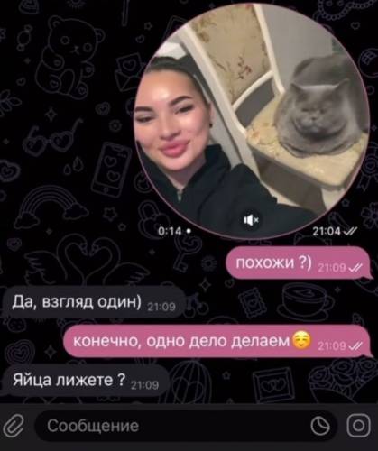 Прикольні картинки 18+: «Ніколи не роздягайте жінок швидко…» (26 фото)