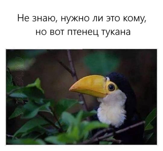 Зображення для гарного настрою: «Цей знак означає…» (25 фото)