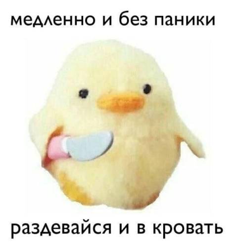 П'ятнична колекція фотоприколів: «Це я на «Озоні» у відгуках…» (37 фото)