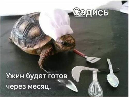 Прикольних картинок пост: «Сідай, вечеря буде готова через…» (31 фото)