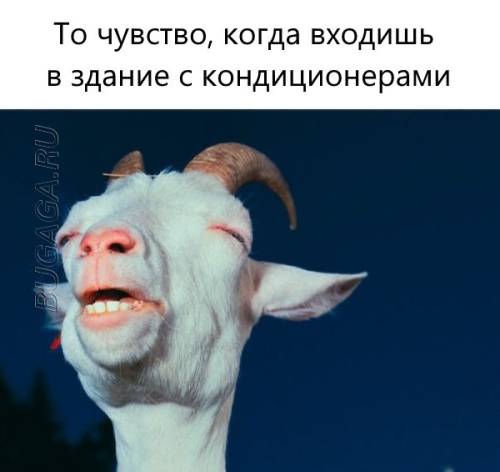 Меми, жарти та приколи про літо, ах, літо… (16 фото)