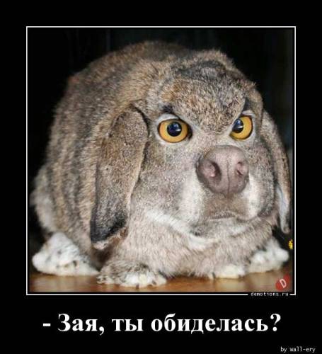 Прикольні демотиватори наприкінці тижня: «„Чорна перлина“ вже не та…» (16 фото)