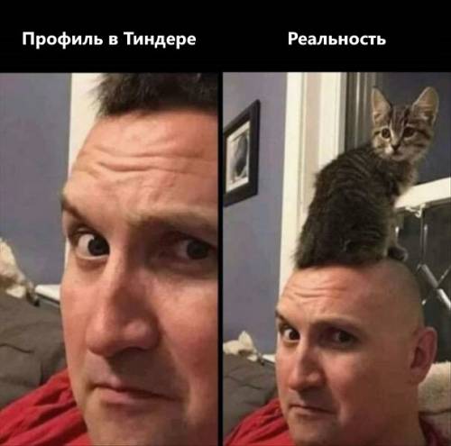 Свіжі фотоприколи: «У дорослої людини має бути не лише пакет із пакетами…» (27 фото)