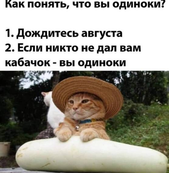 Чтож…