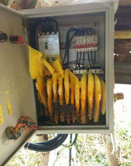 27 дивовижних речей, яких ви, напевно, ще не бачили