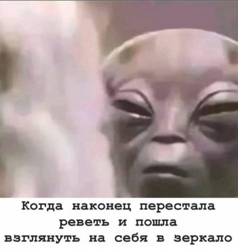 Прикольні картинки для всіх і для кожного: «Коли нарешті перестала ревти…» (24 фото)
