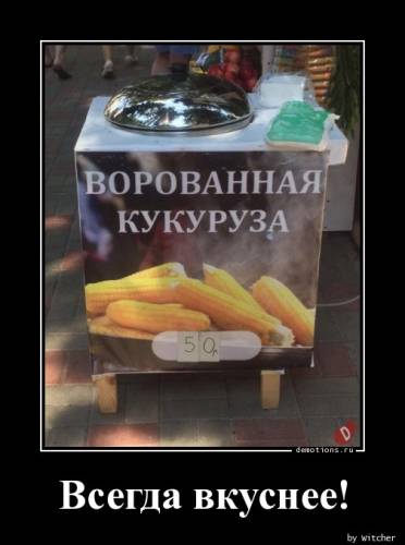 Демотиватори – приколи: «Замовив на «Аліекспрес» мишоловку» (15 фото)
