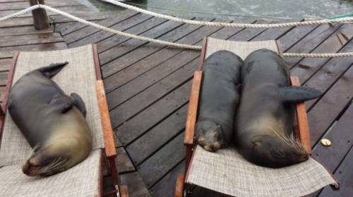 Позитив у картинках та фотоприколах: «Сьогодні зрозумів, що…» (39 шт) – 31.10.2025