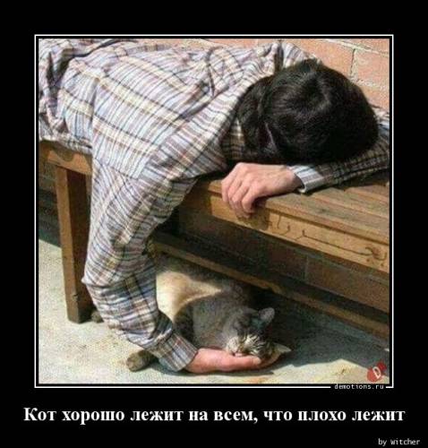 Гумор, що демотивує: «Вчора помила вікна…» (14 фото)