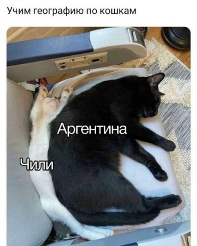 Карти, які нічого не пояснюють, зате чудово розважають (15 шт)