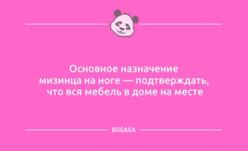 Анекдоти-новинки: «Основне призначення мізинця на нозі…» (10 шт) – 22.10.2025