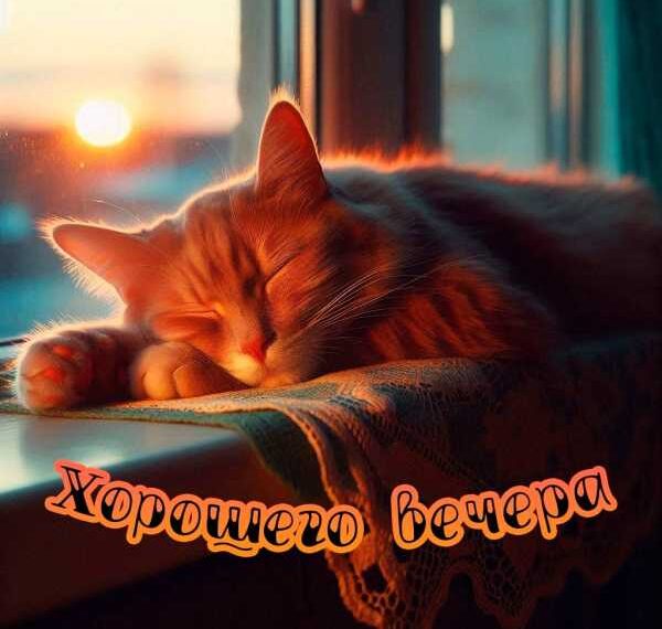 Добрий вечір у листівках: магія вечірньої миті в одному привітанні