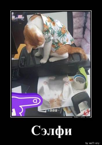 Демотиватори для всіх: «Не сумуйте!» (13 фото)