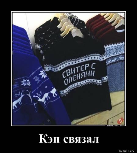 Демотиватори для справжніх поціновувачів: «Все просто чудово!» (16 фото)