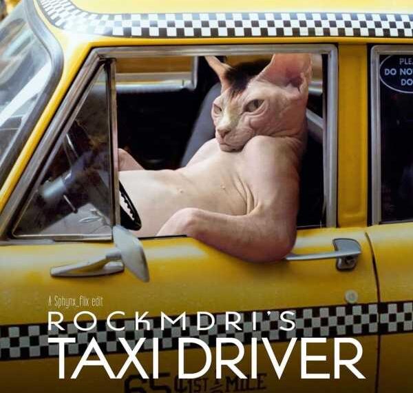 Фотограф вставляє знімки свого кота в постери популярних фільмів