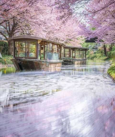 Міські та природні пейзажі Японії від Міцукі Кояма