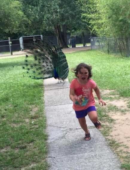 Незграбні фотографії з сімейних альбомів