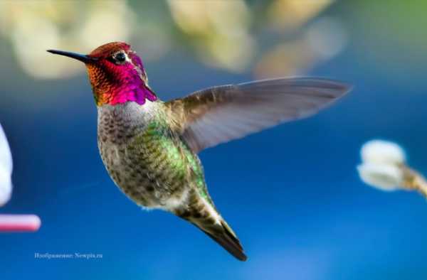 10 цікавих фактів та курйозних випадків