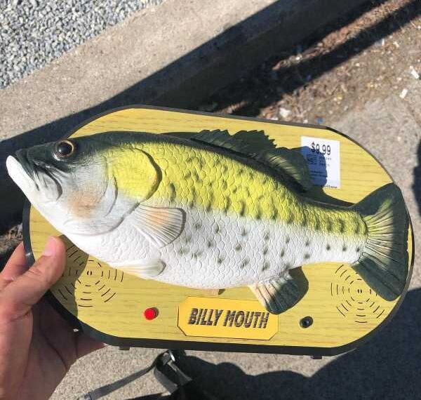 Цілком безглузді ідеї людей, які зробили їх багатіями