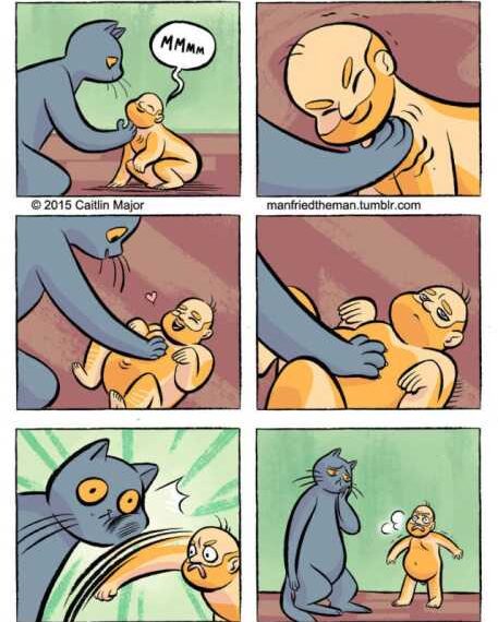 Якби людина була домашнім вихованцем кота