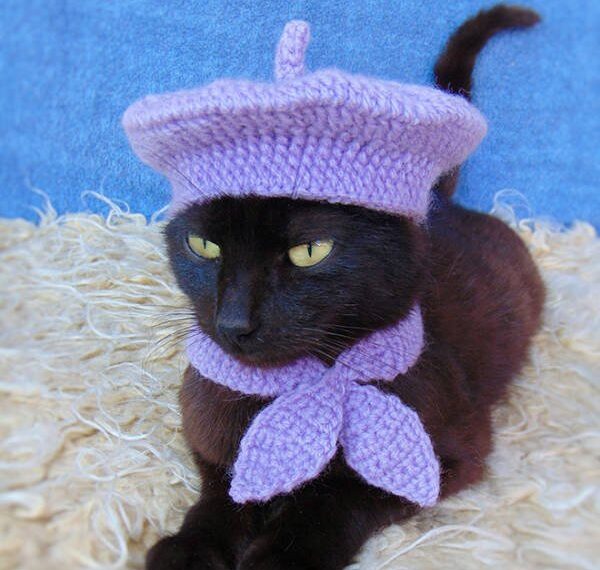 Домашні вихованці у в'язаних шапочках