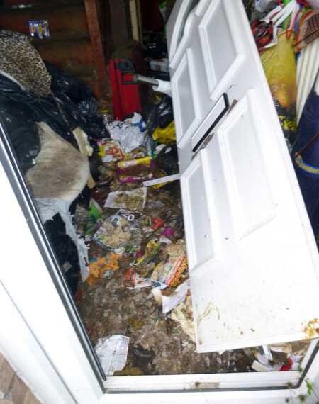 49-річній грязнулі заборонили тримати свійських тварин