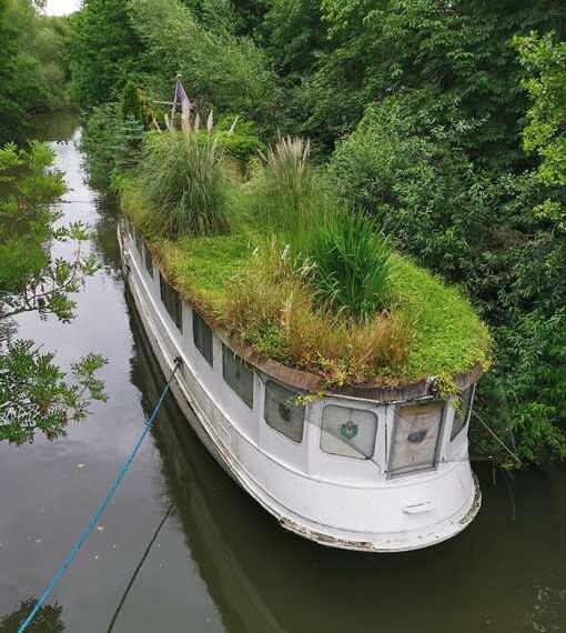 Природа повернула собі все назад на знімках