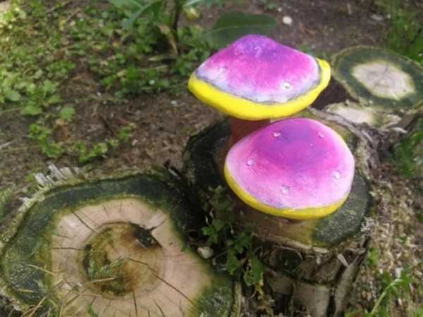 Вражаючі знімки, в яких немає жодної краплі фотошопу