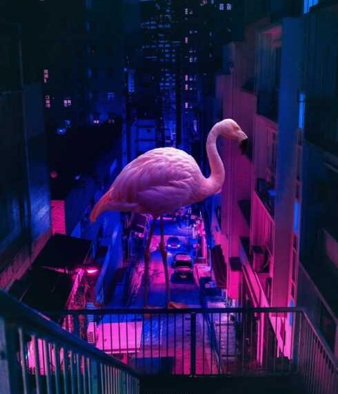 Фотоманіпуляції від турецького дизайнера Мурата Акйола