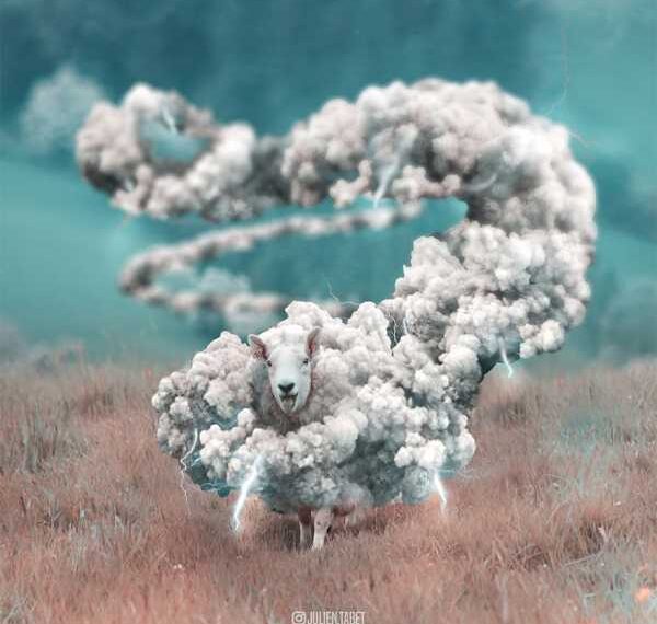 Тварини та асоціації від Жюльєна Табета