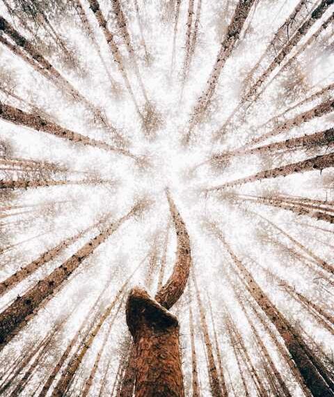 Природа та пейзажі з висоти від Еріка Уорда