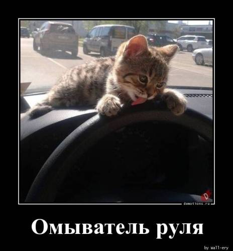 Демотиватори на будь-який смак: 