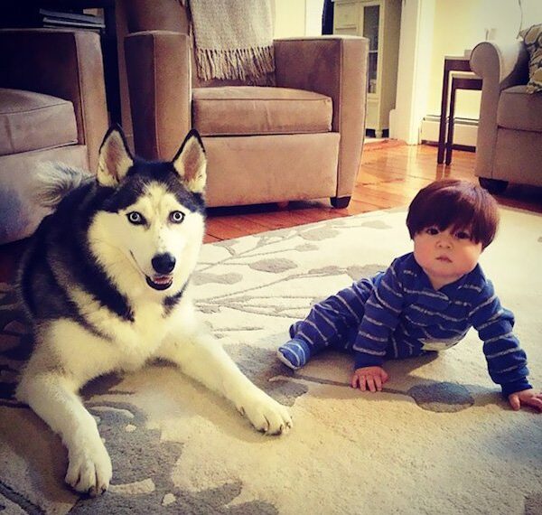 Смішні дітки з густою та пишною шевелюрою