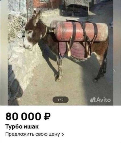 Небагато цікавих оголошень з Авіто, що пропонують все, про що тільки можна подумати