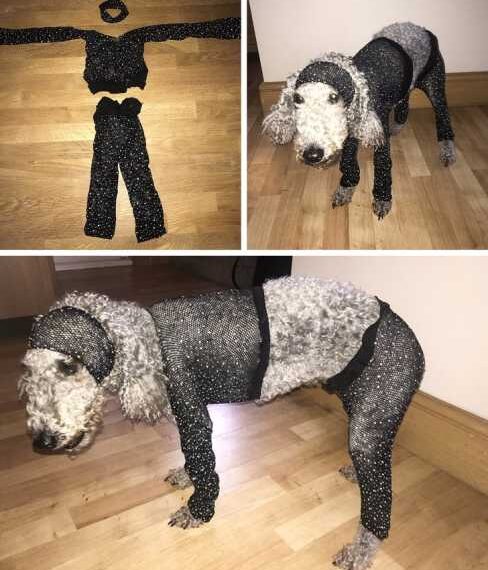 Коли замовляв з інтернет-магазину одне, а прийшло зовсім інше