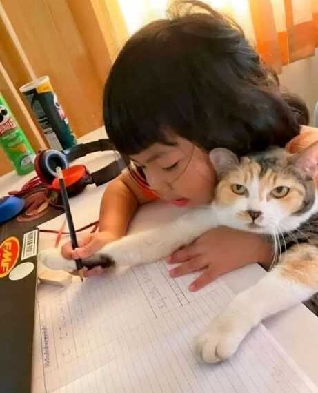 Смішні тварини, які змирилися з обставинами