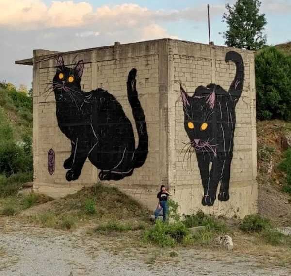 Вуличні витвори мистецтва, коли митців надихнули котики