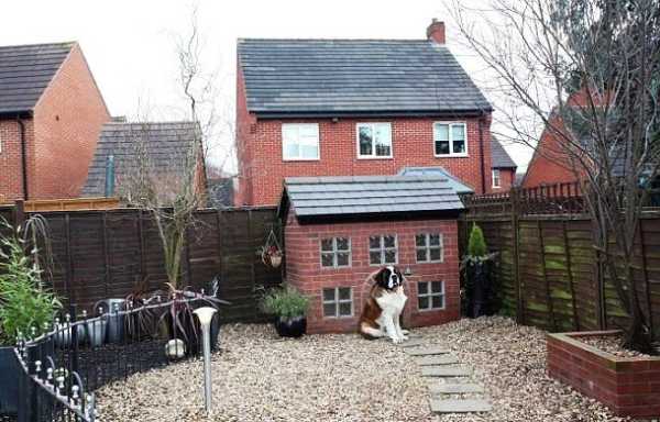 Круті собачі будки, про які мріє будь-який собака