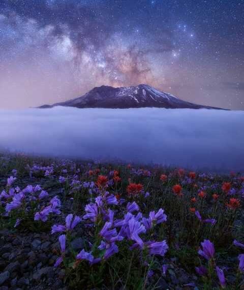 Природа та подорожі на знімках Джона Бірна