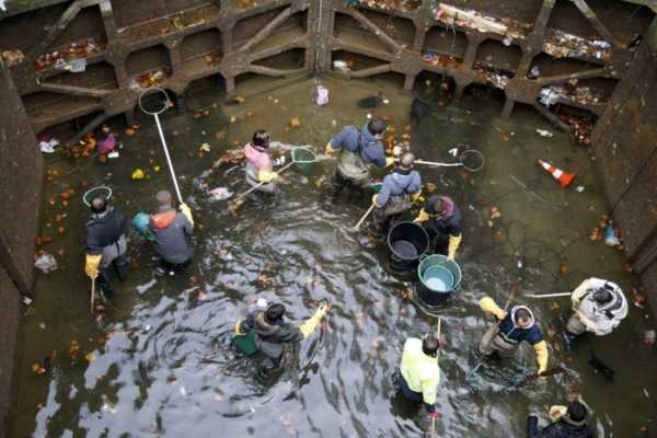 Що французи знайшли на дні осушеного каналу Сан-Мартен?