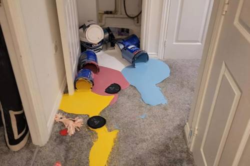 Здається, це була погана ідея (20 фото) – 05.11.2025