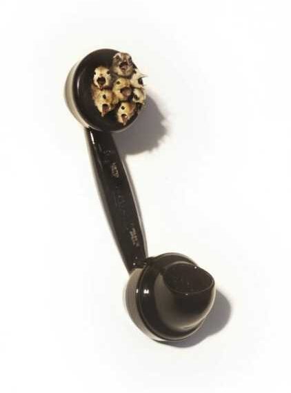 Роботи художника-таксідерміста Polly Morgan