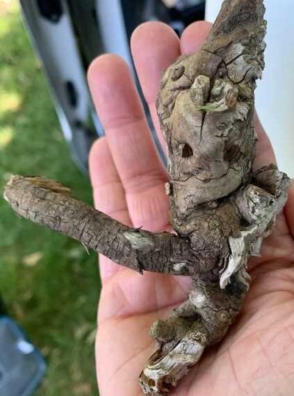 Приклади загадкової парейдолії, створених мозком