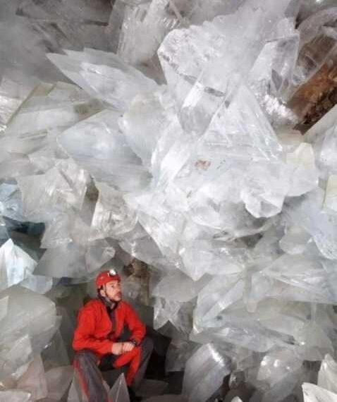 Дивовижні знімки та погляд на природу з іншого боку